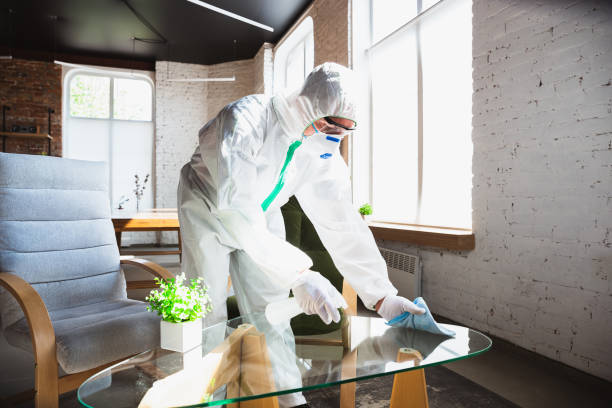 Professional Mold Removal & Remediation in Austin, MN